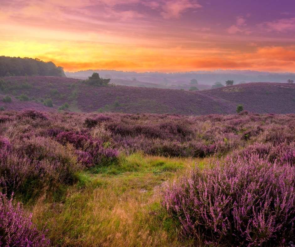 Heel Holland slaapt in... Gelderland! Alle leuke tips op een rijtje.