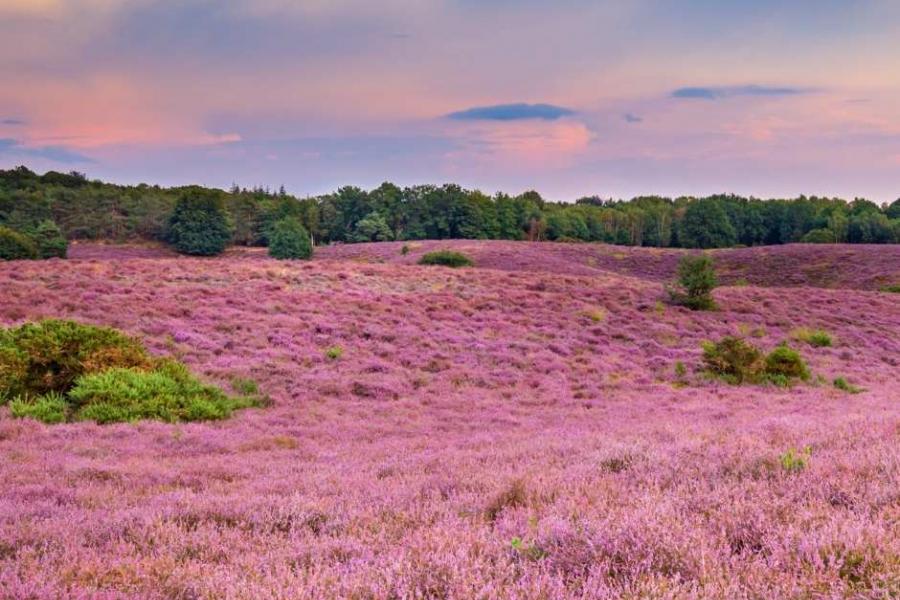 Weekendje weg met Moederdag. 2 nachten 10% korting bij Bastion Hotels!