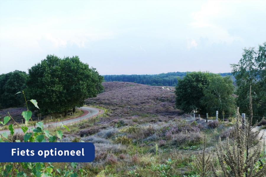 Fietsen over de Veluwezoom