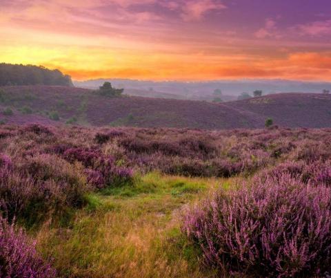 Heel Holland slaapt in... Gelderland! Alle leuke tips op een rijtje.