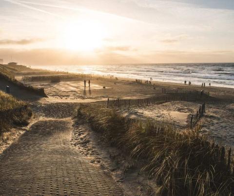 Stranden in Zuid-Holland