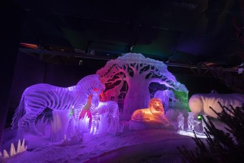 6x activiteiten voor in de winter