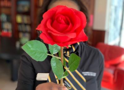 Valentinstag-2023